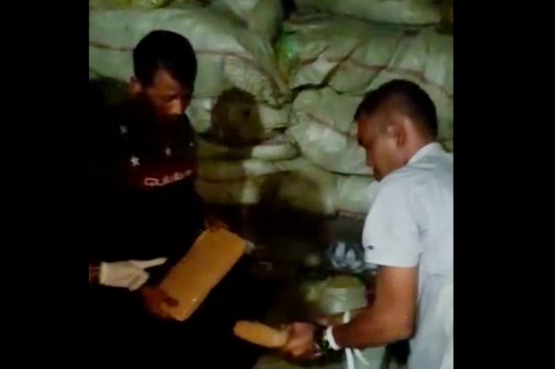 BNN dan Bareskrim Polri Cokok 5 Kurir Pembawa 250 Kilogram Ganja