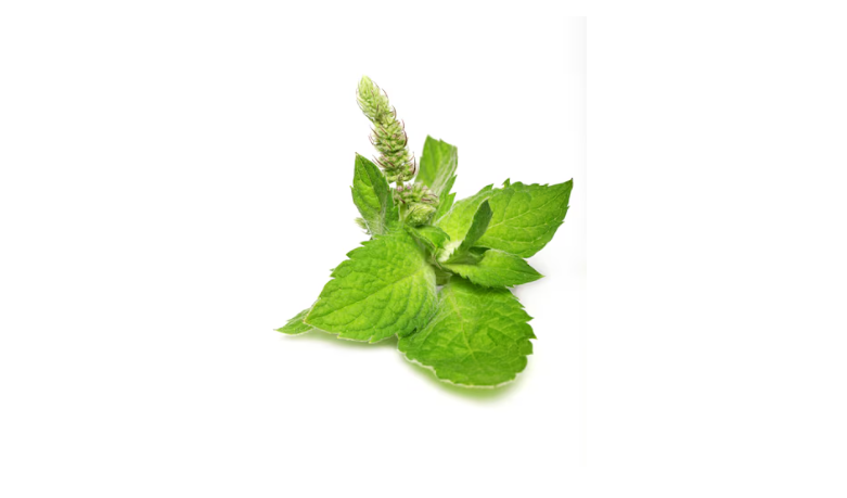 Apa Itu Stevia