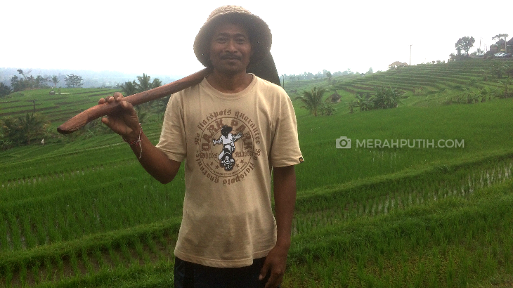Kata Petani Soal Pemberlakuan HET Beras Terbaru