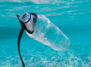 Ketahui Cara Menghindari Mikroplastik pada Kemasan Air