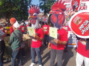 Peternak Ayam Soloraya Menjerit, Swasembada Jagung Tidak Bikin Harga Pakan Turun