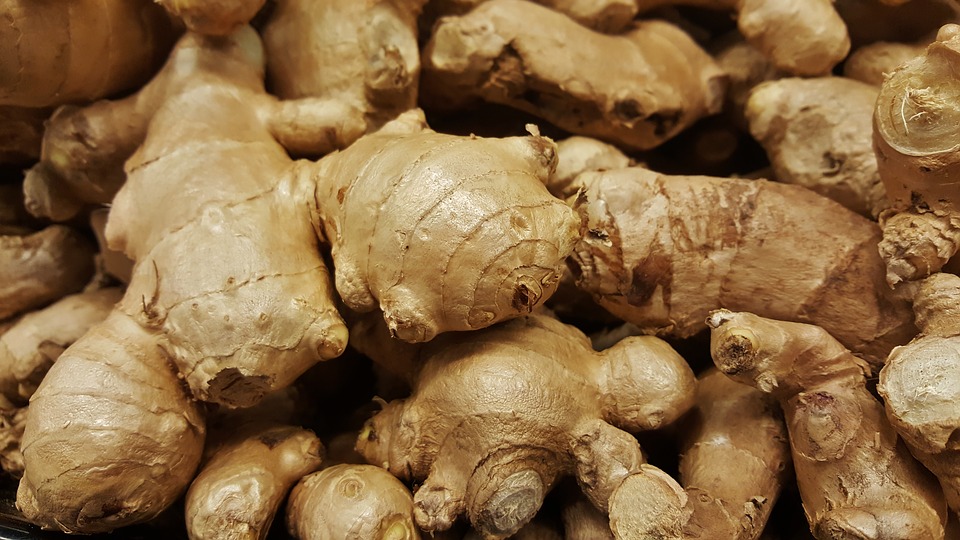 'Curcuma xanthorrhiza' yang berkhasiat tambah nafsu makan dan atasi masalah pencernaan (Sumber: HelloSehat)