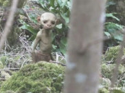 [HOAKS atau FAKTA]:  Pendaki Temukan Makhluk Aneh