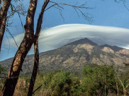  Kawasan Puncak Diguyur Hujan, BTNGMb Pastikan Kebakaran di Gunung Merbabu Padam