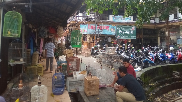 Pasar Burung  di Solo, Jawa Tengah 
