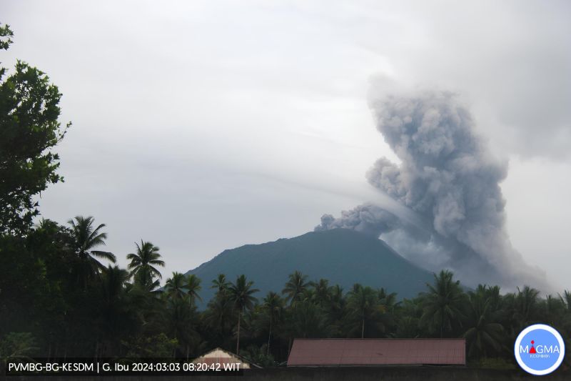 Gunung Ibu Lontarkan Abu Vulkanik Setinggi 800 Meter