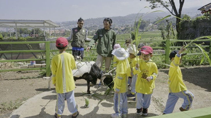 wisata