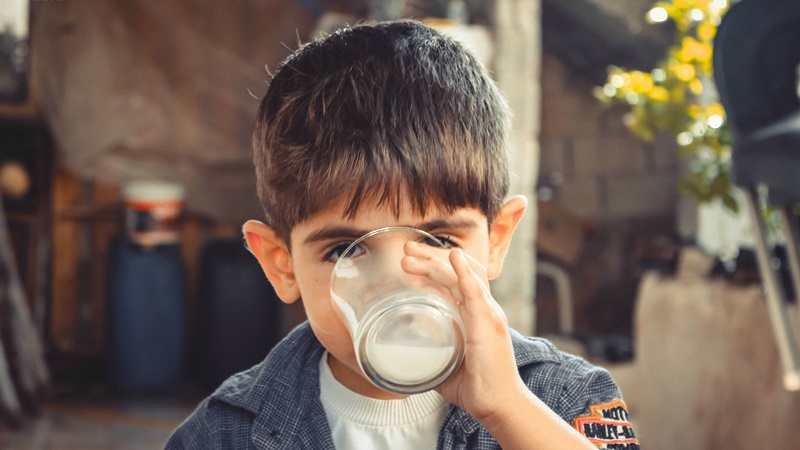 Perhatikan Kandungan Gizi, Ini 4 Rekomendasi Jenis Makanan untuk Anak ADHD