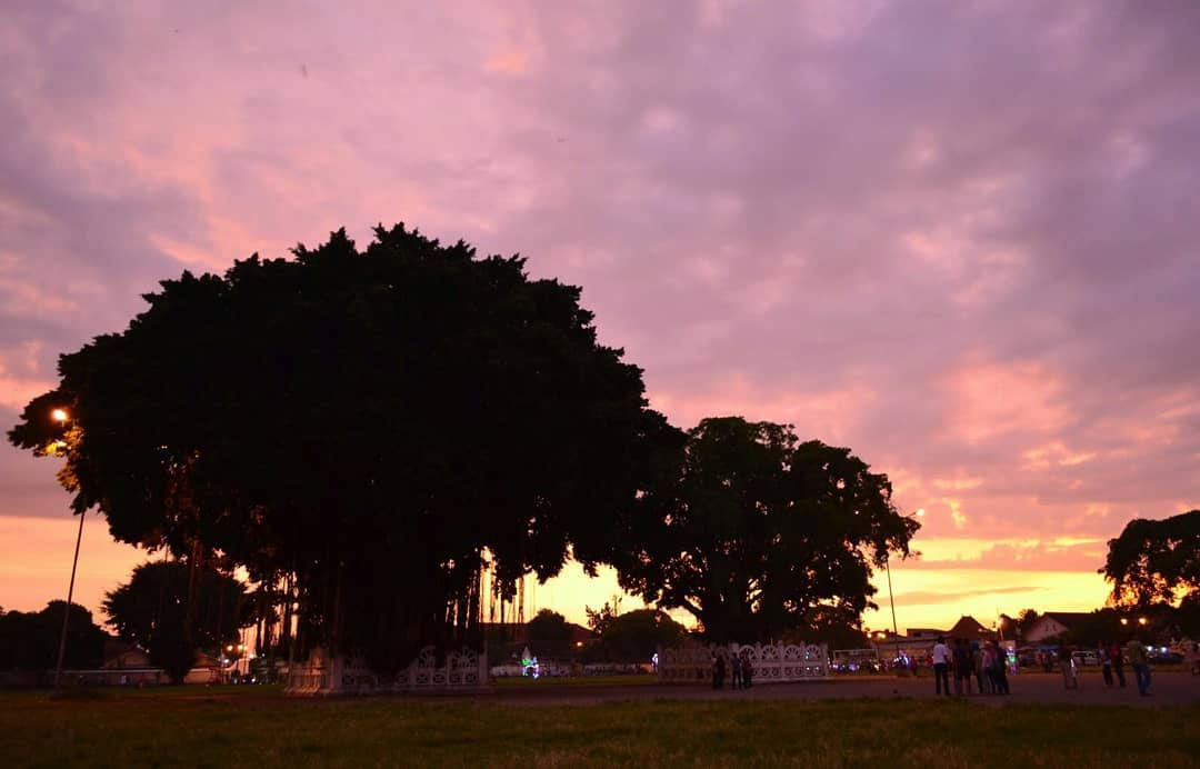 alun-alun kidul