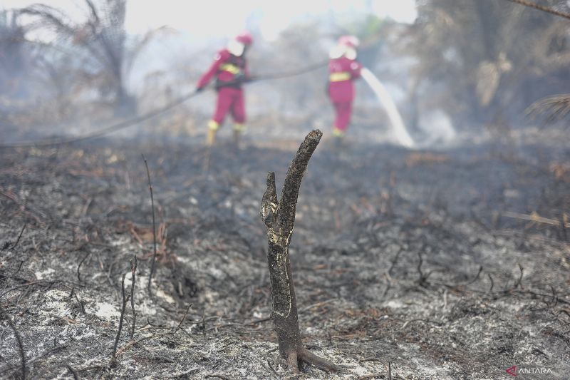 IGD di Pontinak Dipadati Warga Terkena Pneumonia Akibat Terpapar Asap Karhutla