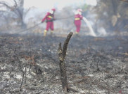 IGD di Pontinak Dipadati Warga Terkena Pneumonia Akibat Terpapar Asap Karhutla