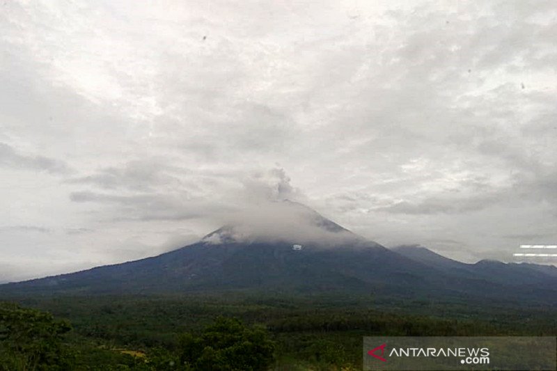 Jarak Luncur Awan Panas Guguran Semeru Capai 11 Kilometer