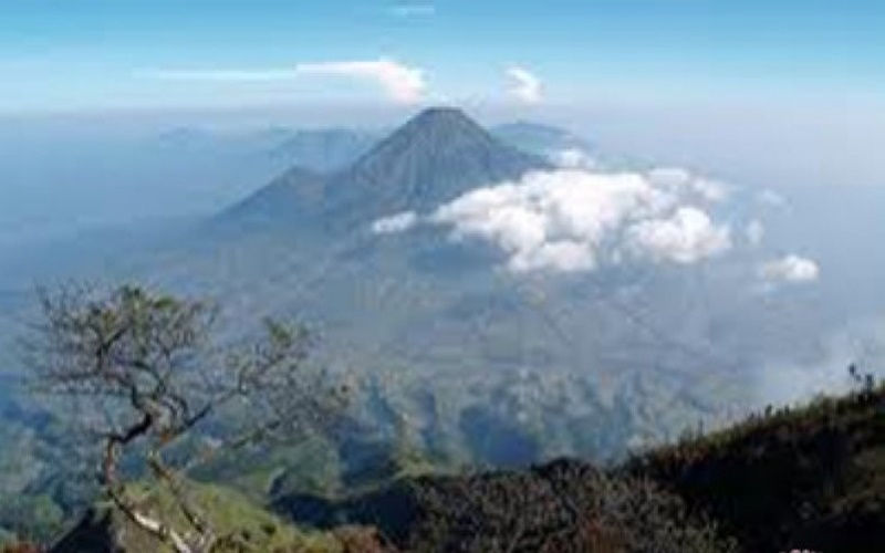 Temanggung dan Wonosobo Berkolaborasi Gelar Festival Sindoro Sumbing