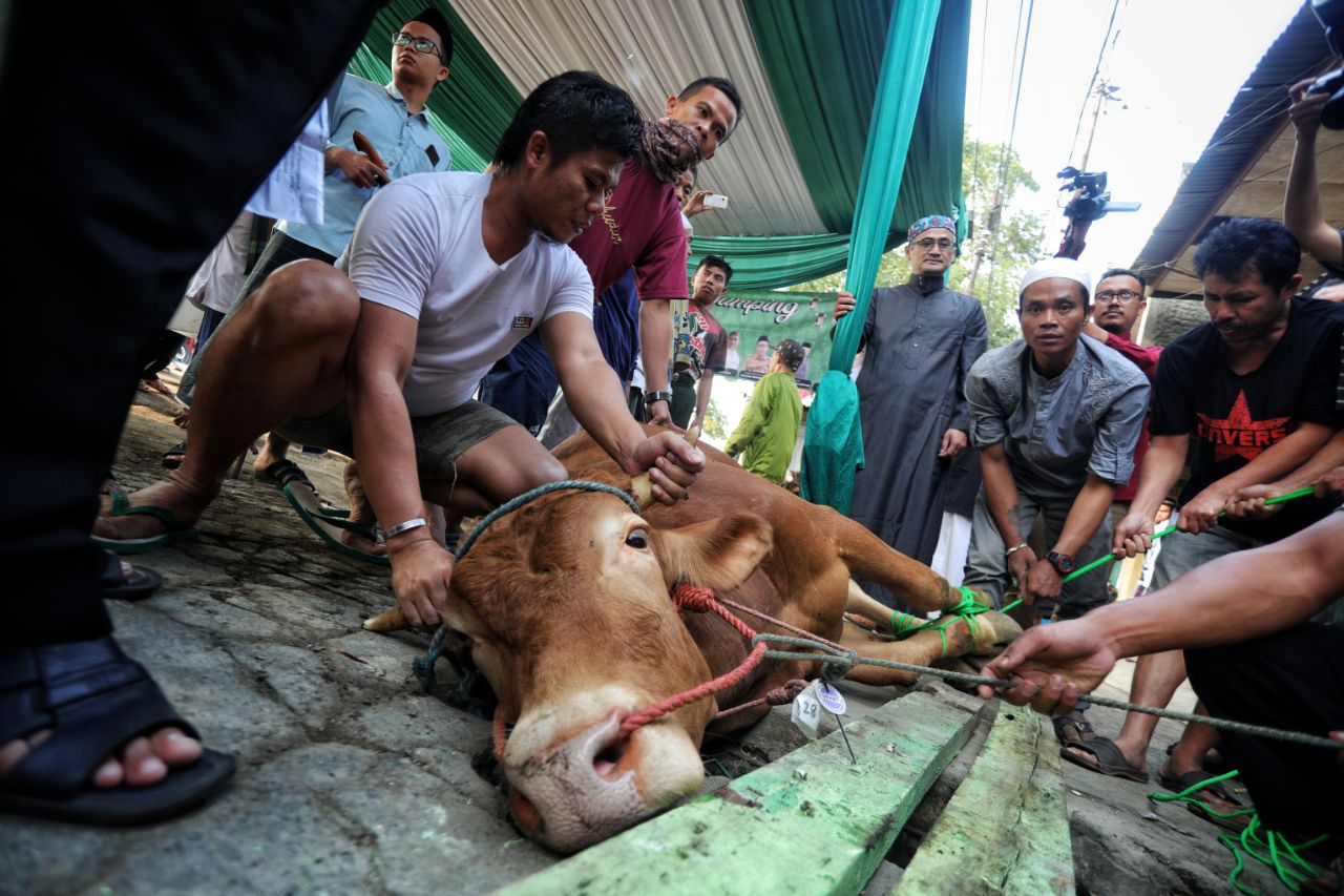 Pantau Penyakit Kuku dan Mulut, Pemkot Bandung Awasi Jalur Masuk Ternak