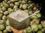 Jangan Berlebihan Minum Air Kelapa, Mengapa?