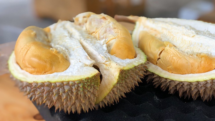 makanan