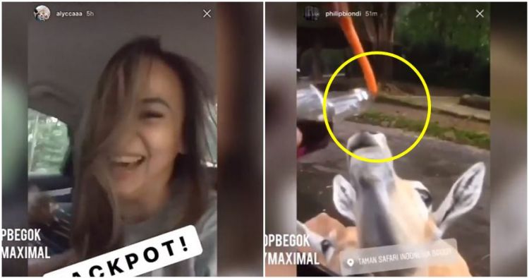 Kasus Pemberian Miras ke Satwa Jangan Terulang Kembali