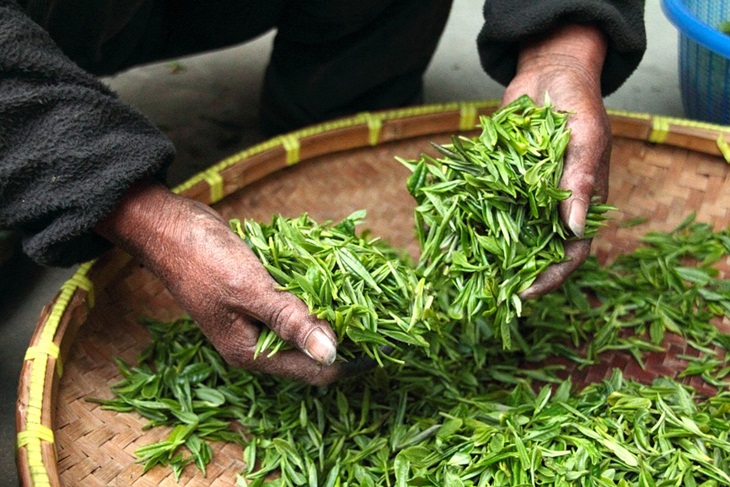 Kualitas teh merupakan hal utama yang menentukan enak atau tidaknya seduhan teh. (Foto: Pixabay/highnesser)