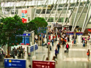 Finlandia Gunakan Anjing Untuk Lacak COVID-19 di Bandara