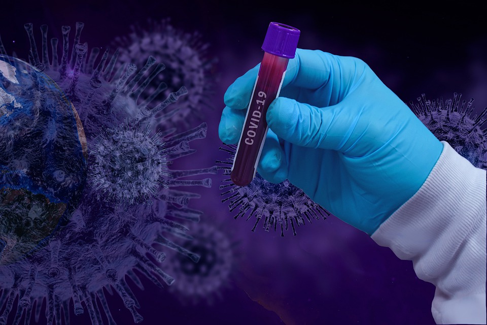  Ilmuwan China Temukan Virus Corona Kelelawar Baru yang Sama dengan COVID-19, Disebut Dapat Menular ke Manusia Lewat
