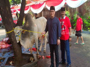 Kurban Dua Ekor Sapi, Megawati Soekarnoputri Ucapkan Selamat Iduladha 1439 H