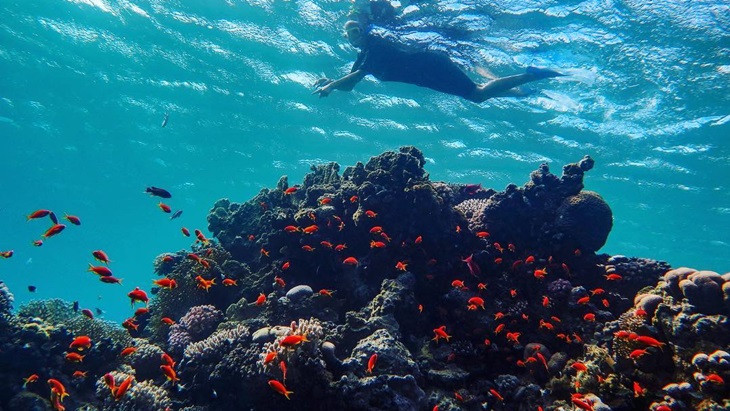 Seseorang sedang Snorkeling. (Instagram/@cris.danasel)