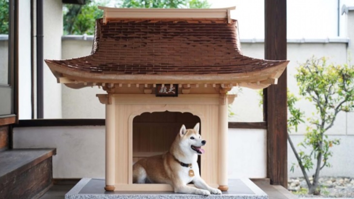 Inuden, Rumah Anjing Seharga Rp 2 Miliar