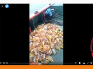 [HOAKS atau FAKTA]: Ratusan Minyak Goreng Kemasan Dibuang ke Laut