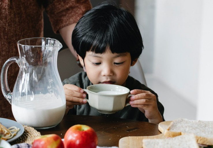 Bahaya di Balik Makanan Ultra Processed Food untuk Si Kecil