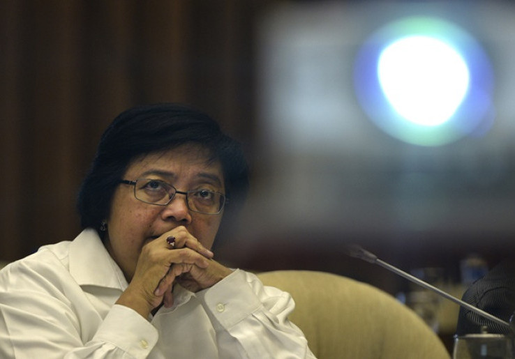 Menteri LHK Ungkap Bambu Jadi Solusi Dampak Perubahan Iklim di KTT G20