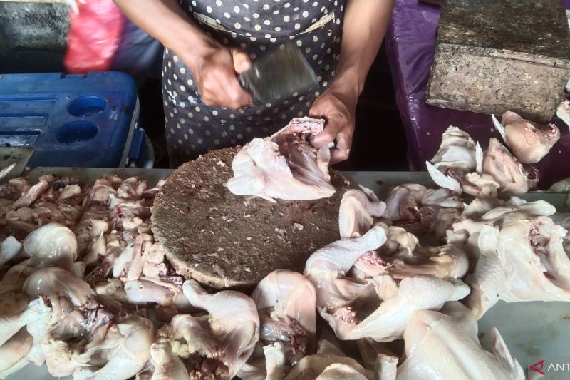 Ayam Potong Tembus Rp 90 Ribu/Ekor di Jakarta, Dinas KPKP Buat Strategi Stabilkan Harga