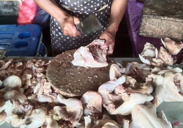 Ayam Potong Tembus Rp 90 Ribu/Ekor di Jakarta, Dinas KPKP Buat Strategi Stabilkan Harga