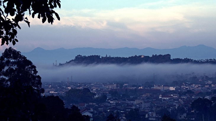 Bandung Perlu Banyak Pohon Agar Udara Lebih Bersih