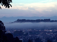 Bandung Perlu Banyak Pohon Agar Udara Lebih Bersih