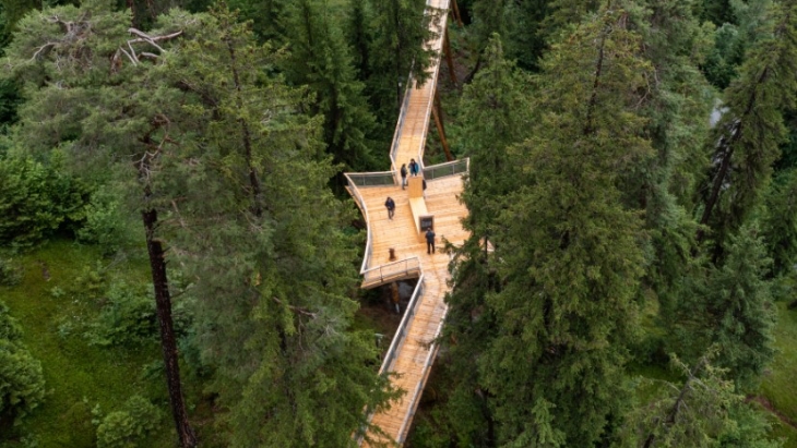 Senda dil Dragun Swiss, Treetop Trail Terpanjang di Dunia
