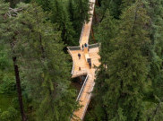 Senda dil Dragun Swiss, Treetop Trail Terpanjang di Dunia