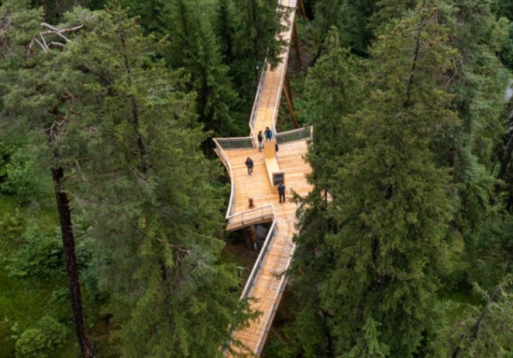 Senda dil Dragun Swiss, Treetop Trail Terpanjang di Dunia