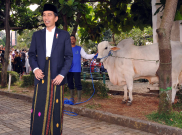 Hari Lebaran, Jokowi Blusukan ke Kampung-kampung Sukabumi