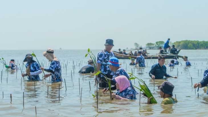 Biodiversity Fun Class dan Penanaman Bakau, Upaya Selamatkan Keanekaragaman Hayati