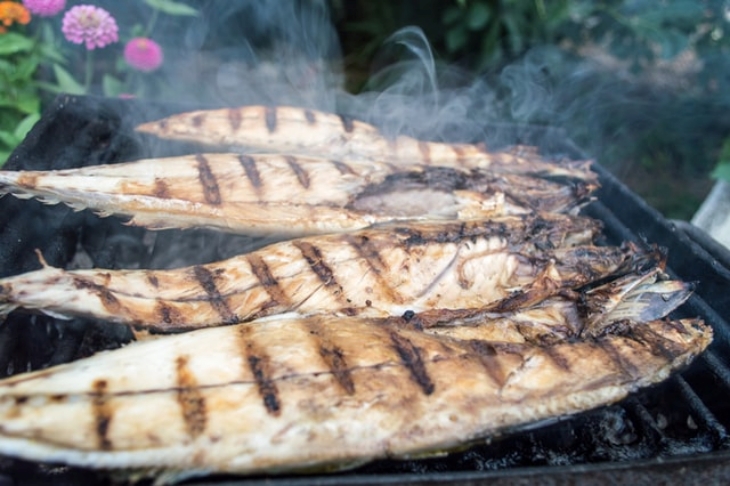 Tidak semua jenis ikan aman dikonsumsi ibu hamil. (Foto: Unsplash/Anton Nikolov)