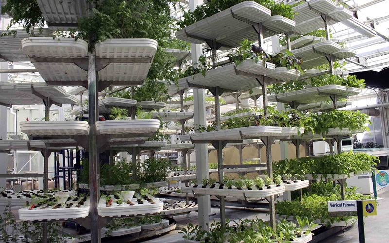 Vertical farming adalah satu bentuk nyata urban farming