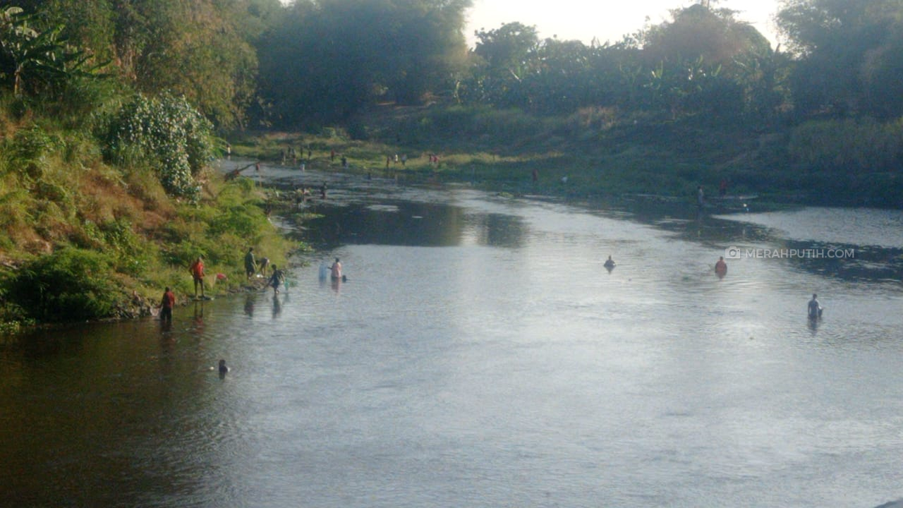 Sejumlah Ikan di Bengawan Solo Mati Akibat Tercemar Limbah Ciu