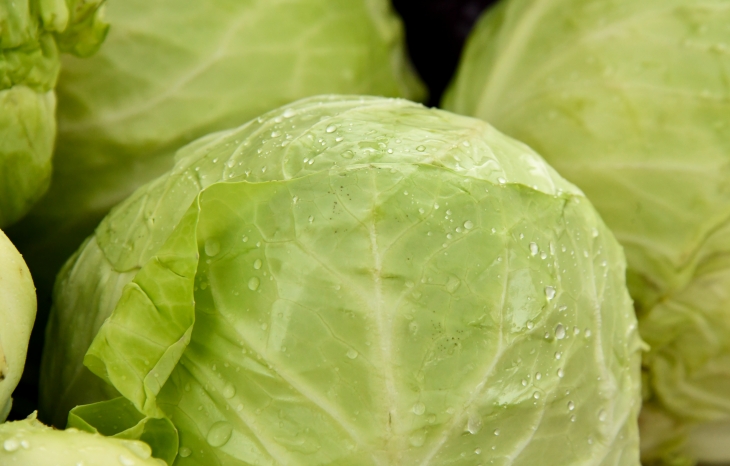 Campuran buah lain akan memperlezat rasa jus kubis (Foto: Unsplash/Shelley Pauls)