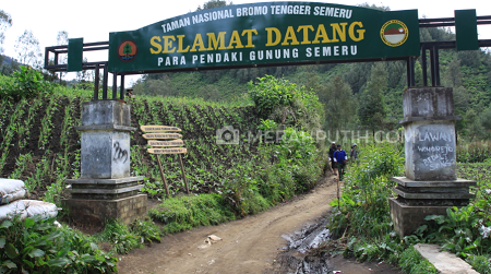 Jalur Mahameru Kebakaran, Pendakian Gunung Semeru Cuma Sampai Ranu Kumbolo