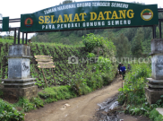 Jalur Mahameru Kebakaran, Pendakian Gunung Semeru Cuma Sampai Ranu Kumbolo