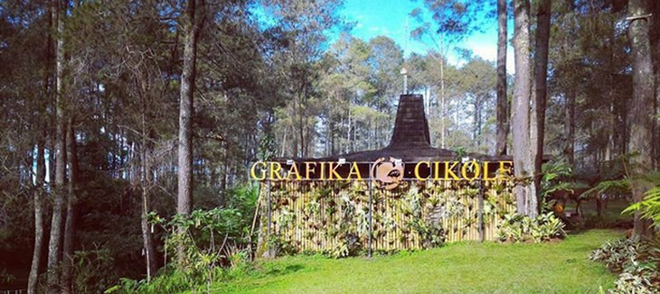 grafika cikole