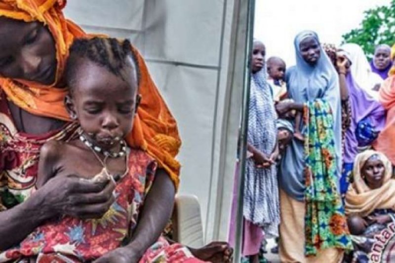 FAO Peringatkan 22 Negara akan Hadapi Kerawanan Pangan yang Memburuk