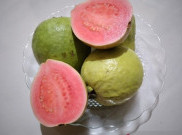 Bukan Obat Utama, Jus Jambu Biji Bantu Pulihkan Pasien DBD