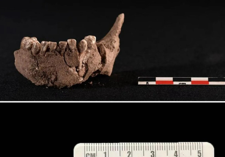 Peneliti Tiongkok Temukan Artefak Prasejarah dan Jejak Manusia dari 55.000 Tahun Silam