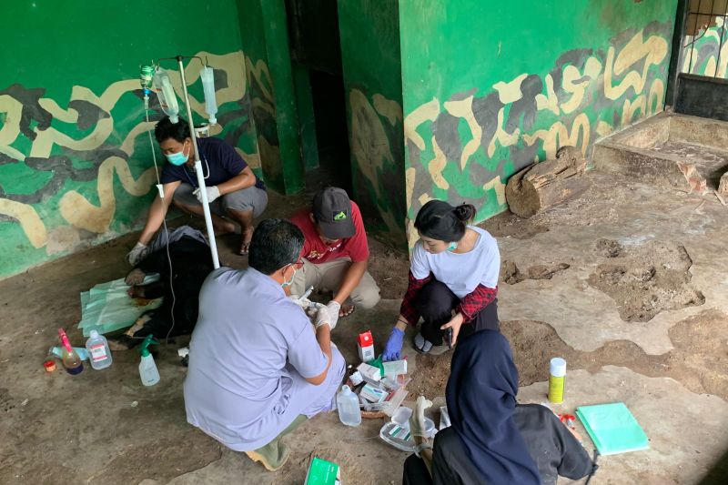Beruang Madu Diselamatkan Dari Jerat di Jambi Lahirkan Anak, Belum Akan Dilepas Liarkan
